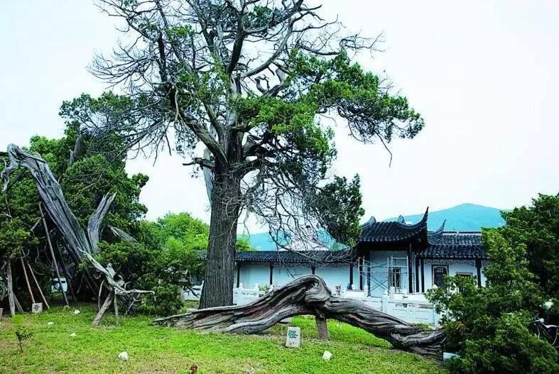 某餐廳海信中央空調系統吸頂機工程