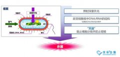 海信中央空調紫光盾殺菌模塊上市，健康技能加