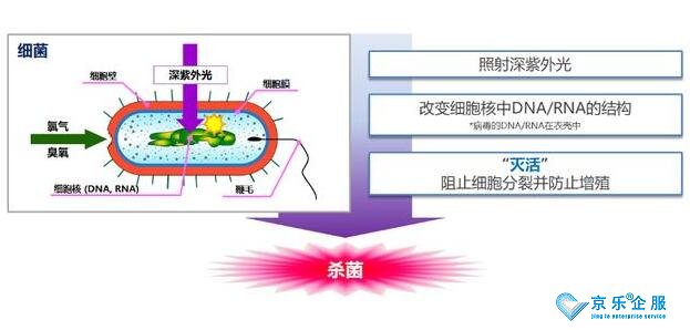 海信中央空調紫光盾殺菌模塊上市，健康技能加持升級-1